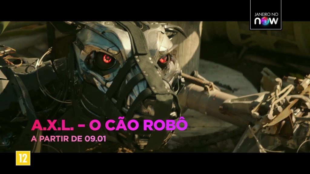 4-axl-o-cao-robo net brasilia